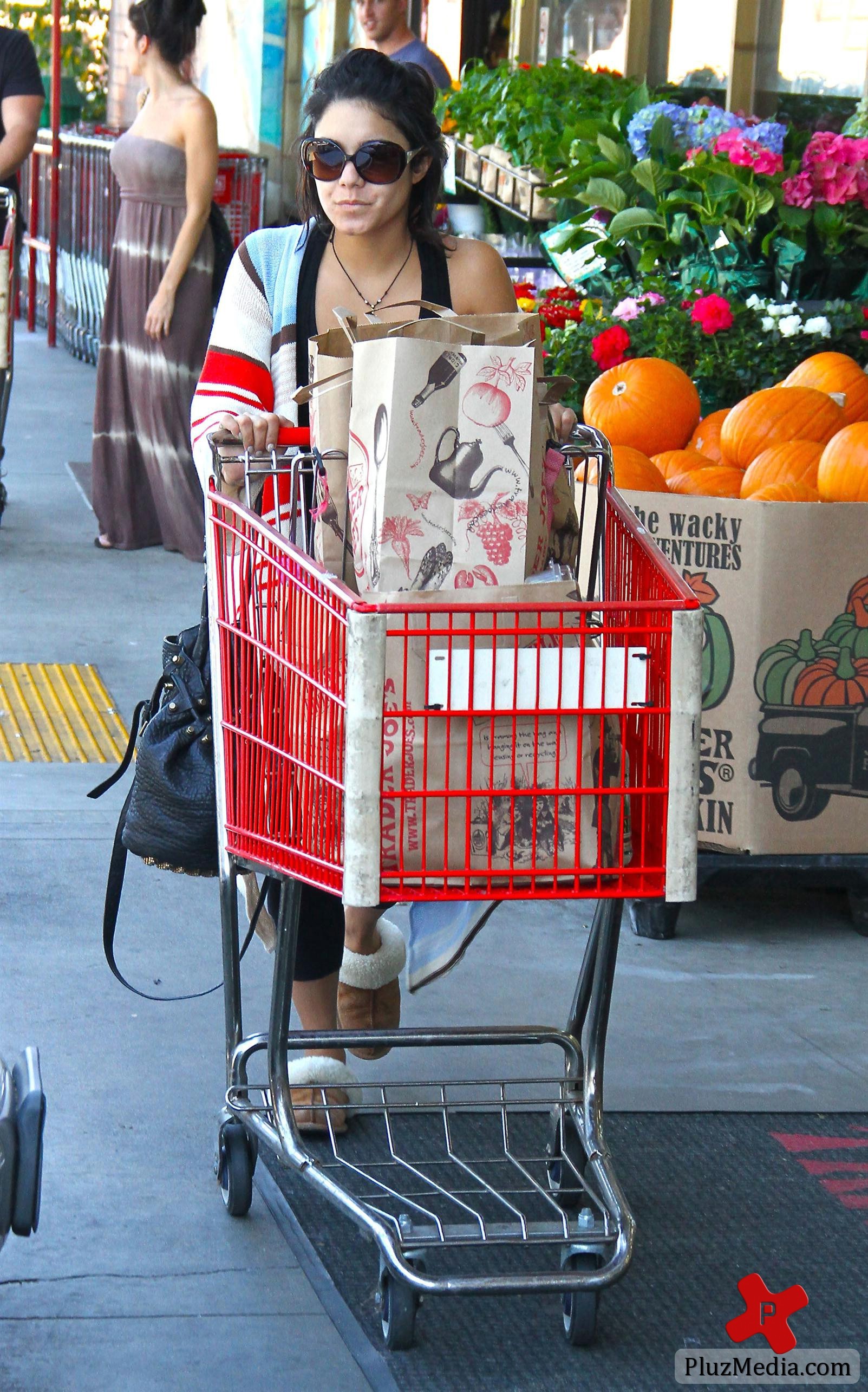 Vanessa Hudgens goes shopping for groceries at Trader Joe | Picture 88423